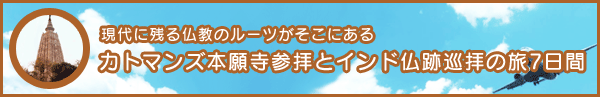 Ɏc镧̃[cɂ