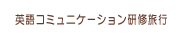 pR~jP[VCs